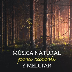 Обложка для Academia de Sonidos de la Naturaleza para Dormir - Relajación dulce