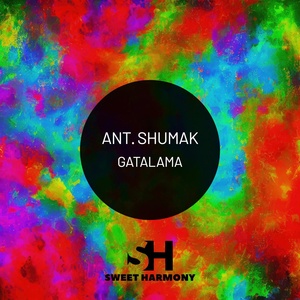 Обложка для Ant. Shumak - Grief after it