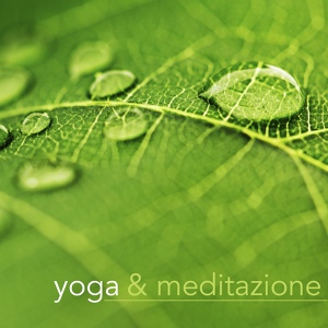 Обложка для Yoga Trainer - Voce del Vento