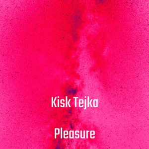 Обложка для Kisk Tejka - X-static Love