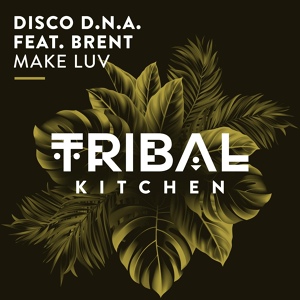 Обложка для Disco D.N.A. feat. Brent - Make Luv