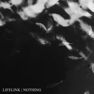 Обложка для Lifelink - Empty Heaven