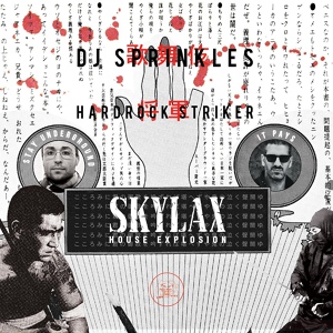 Обложка для DJ Sprinkles, Hardrock Striker, Kuba Sojka - Walk on Moon