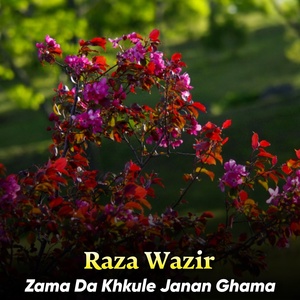 Обложка для Raza Wazir - Da Cha Wayal Pa Zra Ke Es Farhar Na Lari