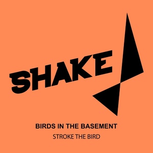 Обложка для Birds In The Basement - Stroke The Bird