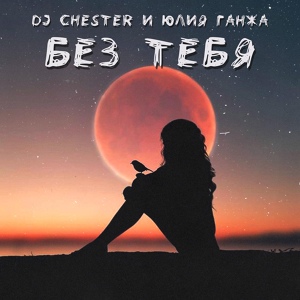 Обложка для DJ Chester feat. Юлия Ганжа - Без тебя