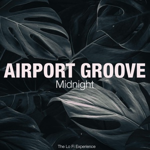 Обложка для Airport Groove - Acid Solution