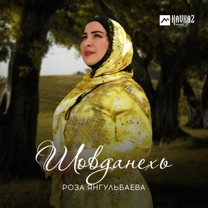 Обложка для Роза Янгульбаева - Йинчу денца