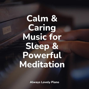 Обложка для Calming Music Academy, Piano Pianissimo, Chill out Music Café - Fields of Heaven