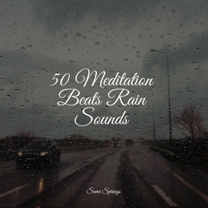 Обложка для Water Sound Natural White Noise, Lullaby Babies, Sounds Of Nature : Thunderstorm, Rain - Rainflows
