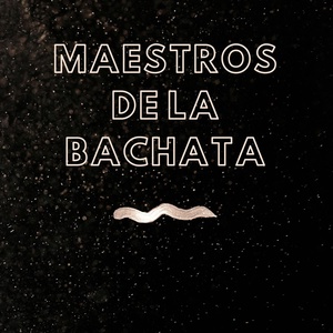 Обложка для El Chaval de la Bachata - Mujeres Divinas