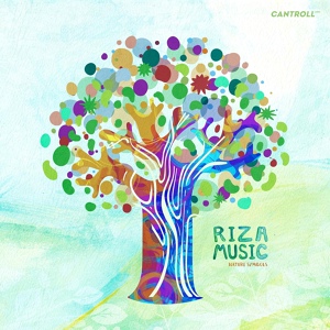 Обложка для RIZA music - Wall of Rain