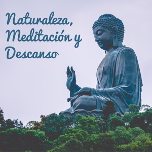 Обложка для Maestros de música de la meditación - Sons da Natureza de Relaxamento
