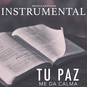 Обложка для MUSICA CRISTIANA INSTRUMENTAL - Te Necesito Dios