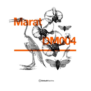 Обложка для Marat - Us