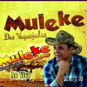Обложка для Muleke Doido - Irreverência - Ao Vivo