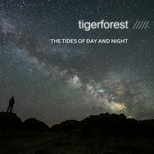 Обложка для Tigerforest - Why Don't You Answer