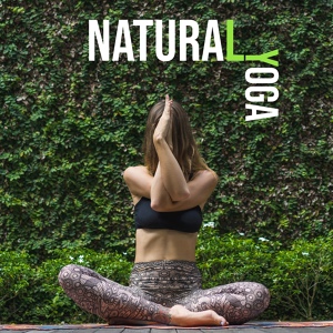 Обложка для Namaste Healing Yoga - Music Box