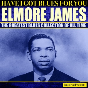 Обложка для Elmore James - Stranger Blues
