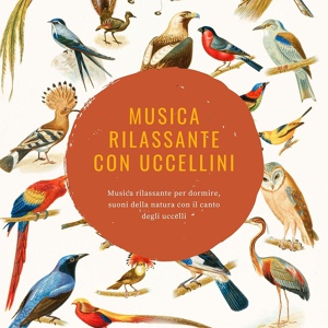 Обложка для Musica rilassante con i suoni della natura - Musica rilassante con uccellini