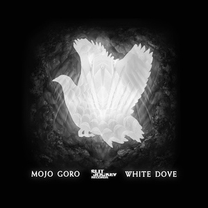 Обложка для Mojo Goro - Pure Spirit Introduction