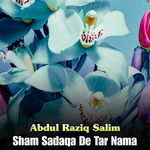 Обложка для Abdul Raziq Salim - Paka Raba