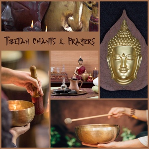 Обложка для Shamanic Meditation Tribe - Buddhist Meditation Music