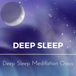 Обложка для Deep Sleep Meditation Oasis - Walk in Peace