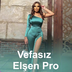 Обложка для Elsen Pro - Vefasiz