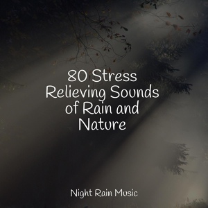 Обложка для Rain, Massage, Sleep Recording Sounds - Birds at Sunset