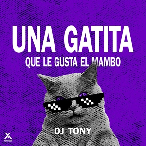 Обложка для DJ Tony - Una Gatita Que Le Gusta El Mambo