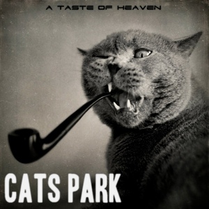 Обложка для Cats Park - Thin Skinned