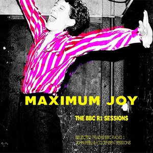 Обложка для Maximum Joy - Searching for a Feeling