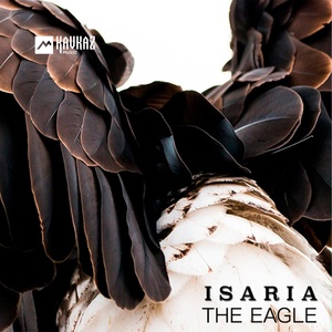 Обложка для IsAria - The Eagle