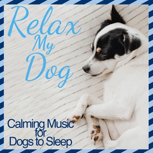 Обложка для Dog Music Dreams, Dog Music Therapy, Dog Music Zone - Baby