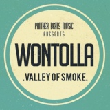 Обложка для WONTOLLA - Valley Of Smoke