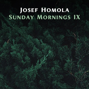 Обложка для Josef Homola - Only Time