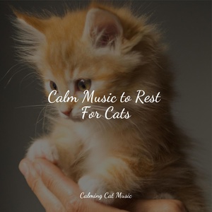 Обложка для RelaxMyCat, Cat Music Experience, Official Pet Care Collection - Clouds