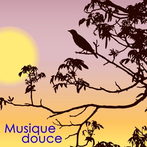 Обложка для Musique Douce Ensemble - Doucement