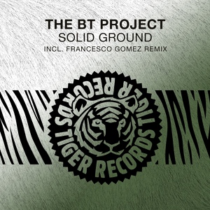 Обложка для The BT Project - Solid Ground