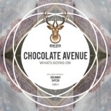 Обложка для Chocolate Avenue - I Want Everything (Original Mix)