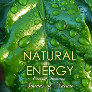 Обложка для Natural Energy Master - Natural Energy Booster