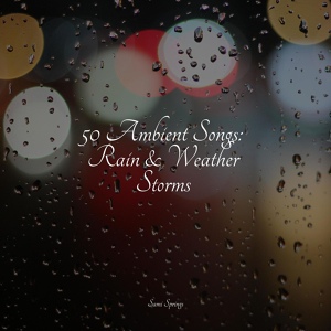 Обложка для Nature and Rain, Sounds Of Nature : Thunderstorm, Rain, Pro Sounds of Nature - Rain, Urban, Lightning, Concrete