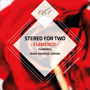Обложка для Stereo For Two - Flamenco