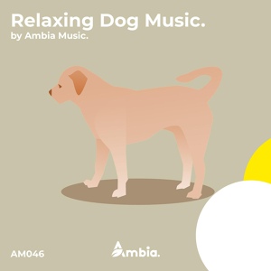 Обложка для Ambia Music - Dog Music