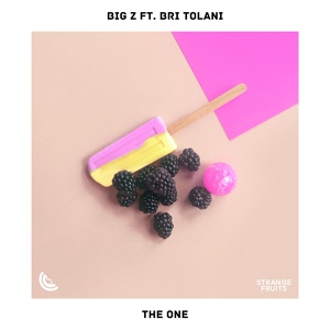Обложка для Big Z feat. Bri Tolani - The One (feat. Bri Tolani)