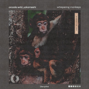 Обложка для Arcade Wrld, Yokomeshi, Disruptive LoFi - Whispering Monkeys