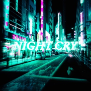 Обложка для STERVX - Night Cry