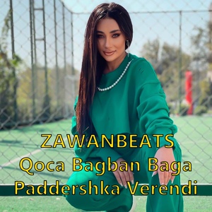 Обложка для Zawanbeats - Qoca Bagban Baga Paddershka Verendi