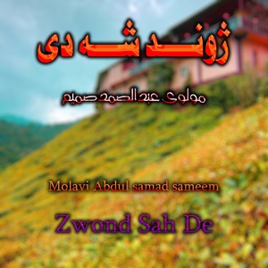Обложка для Molavi Abdul samad sameem - Pa Stare Zwand
